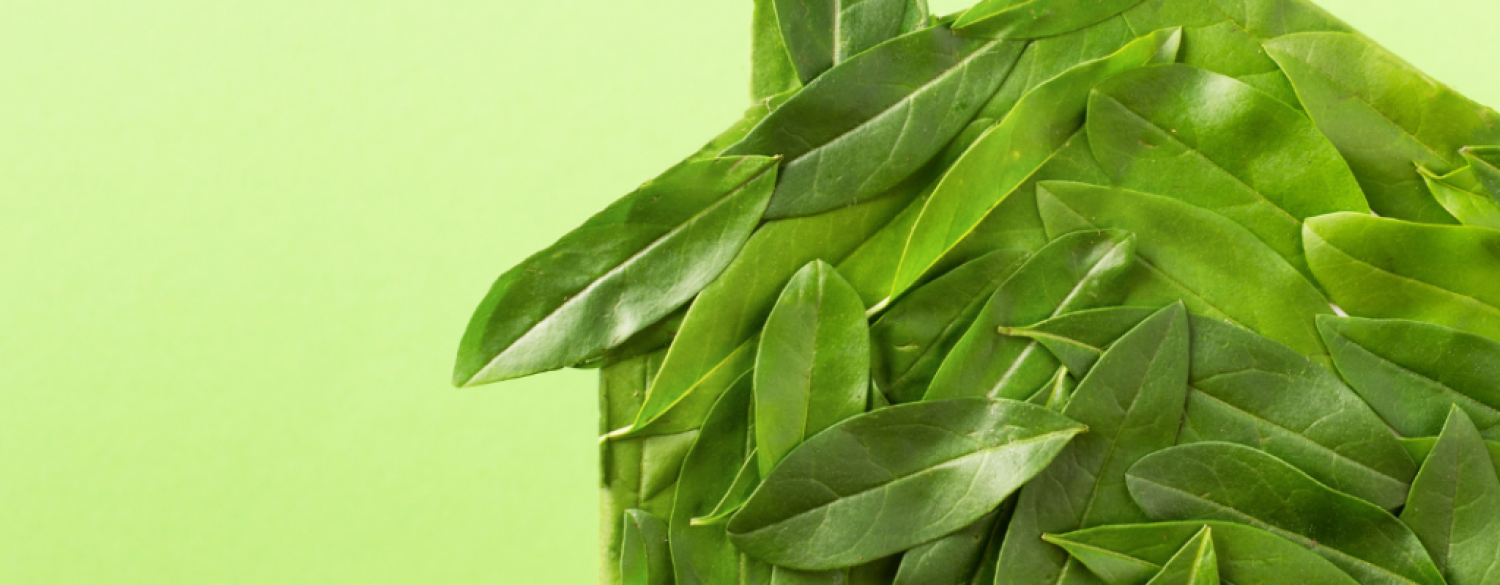 3 Top Tips to Work with an Eco-Friendly Green Builder