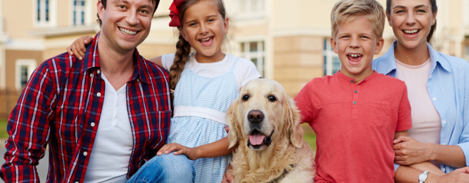 Elite Home Improvement: Your Biggest Dreams Become Real
